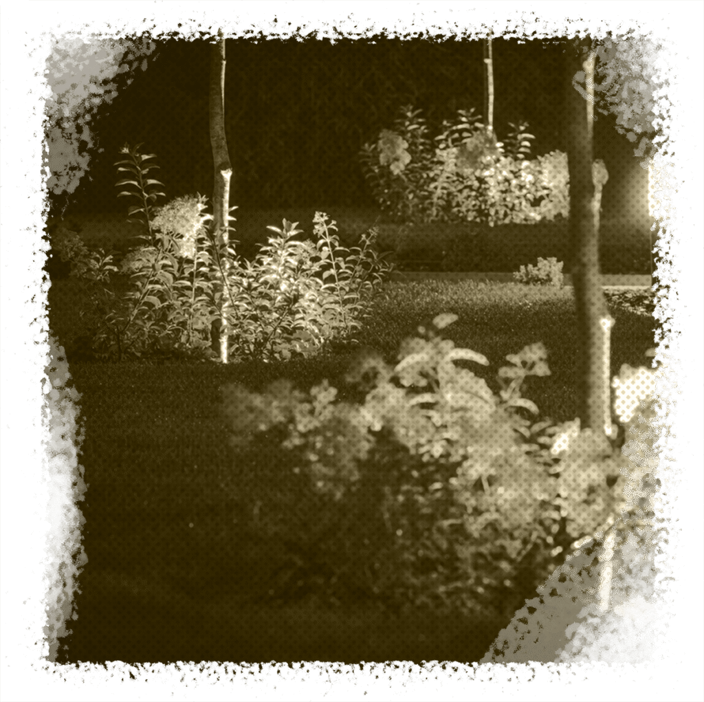 Landscape Lighting Installations