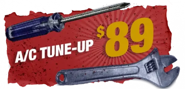 All star Offer Hero Graphic